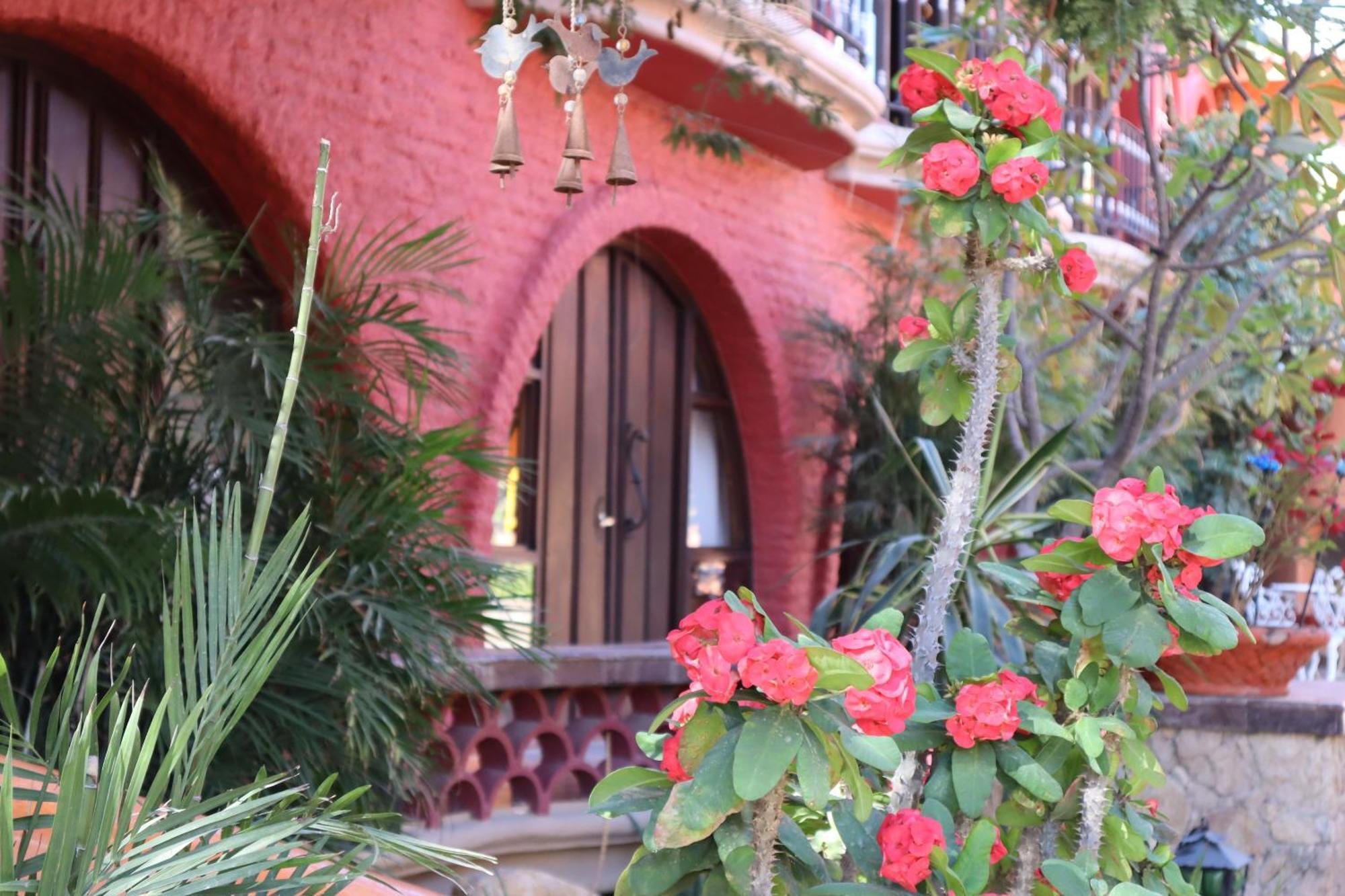 Collection O Casa Bella Boutique, Cabo San Lucas