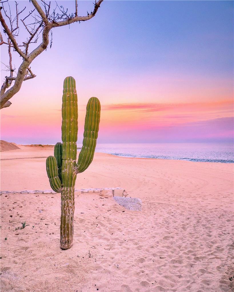 Park Hyatt Cabos At Cabo Del Sol Cabo San Lucas