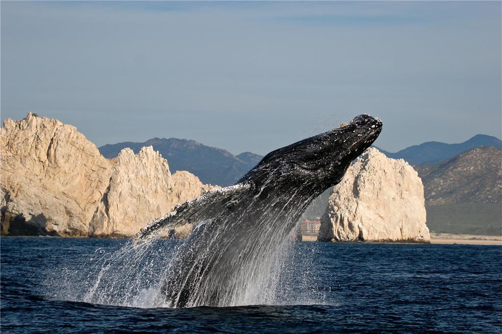 Park Hyatt Cabos At Cabo Del Sol